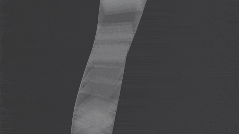 MOSLA_GIF (1)
