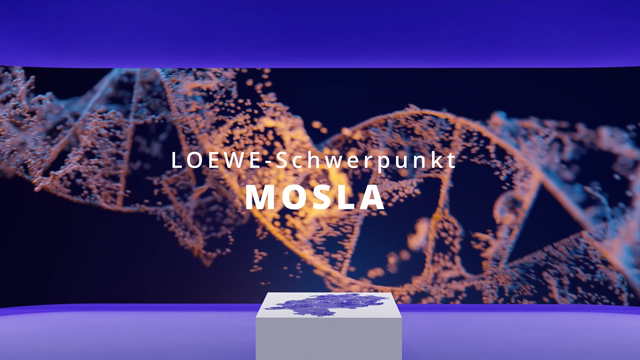 MOSLA_Thumbnail